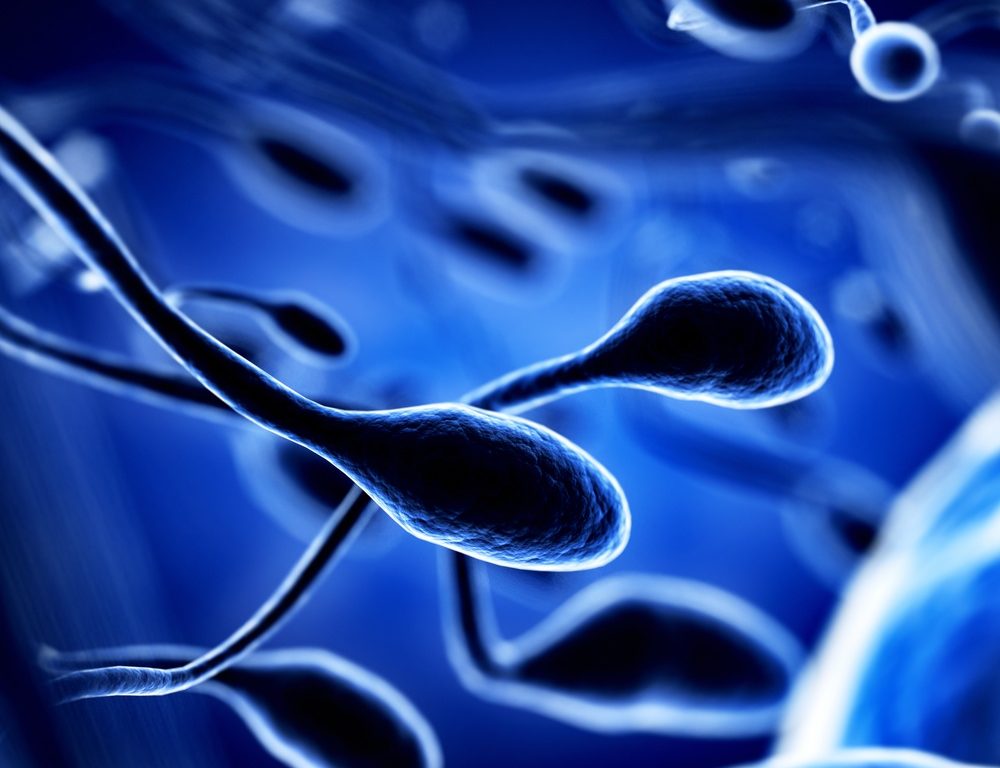How To Boost Sperm Count To Improve Your Fertility